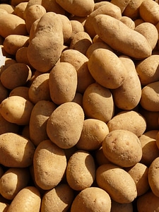 Food ingredient eat