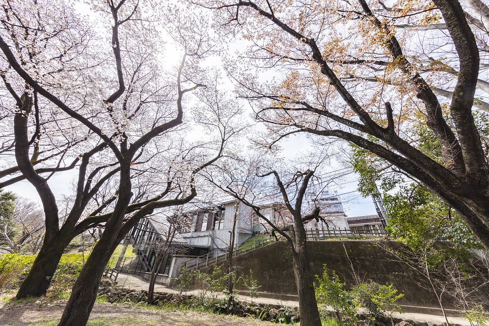 Inogashira Park Station