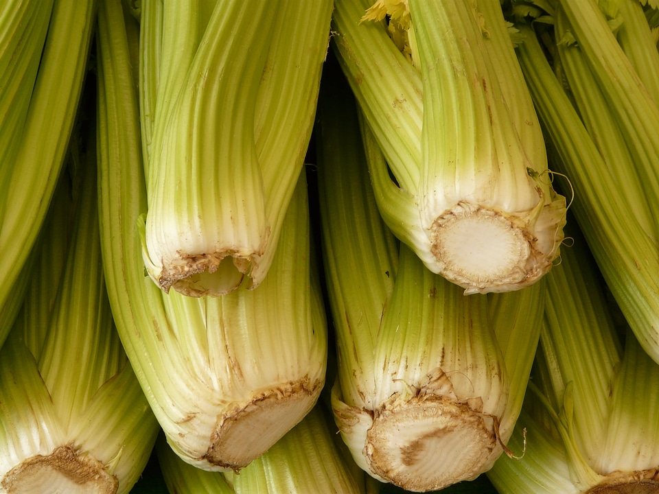 Food vitamins healthy