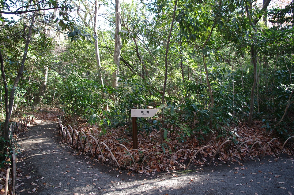 11 Meijijingu Gyoen
