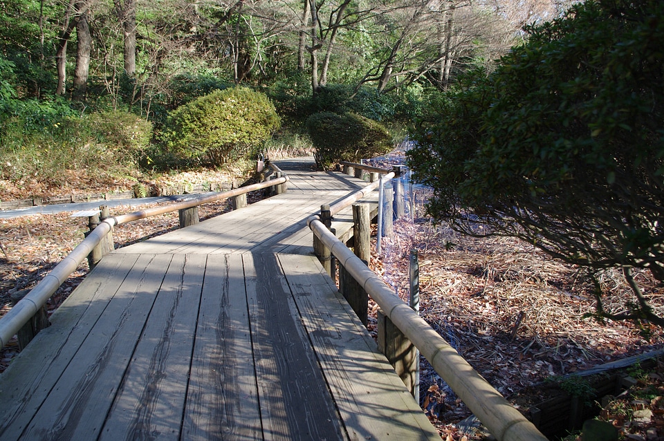 13 Meijijingu Gyoen