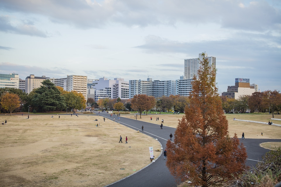 3 Showa Memorial Park