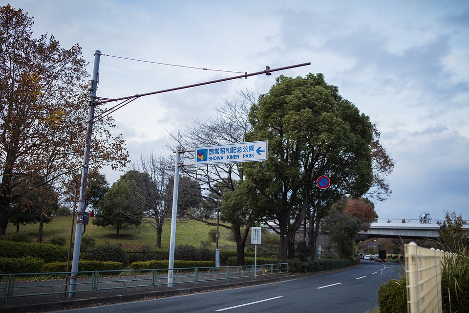 4 Showa Memorial Park