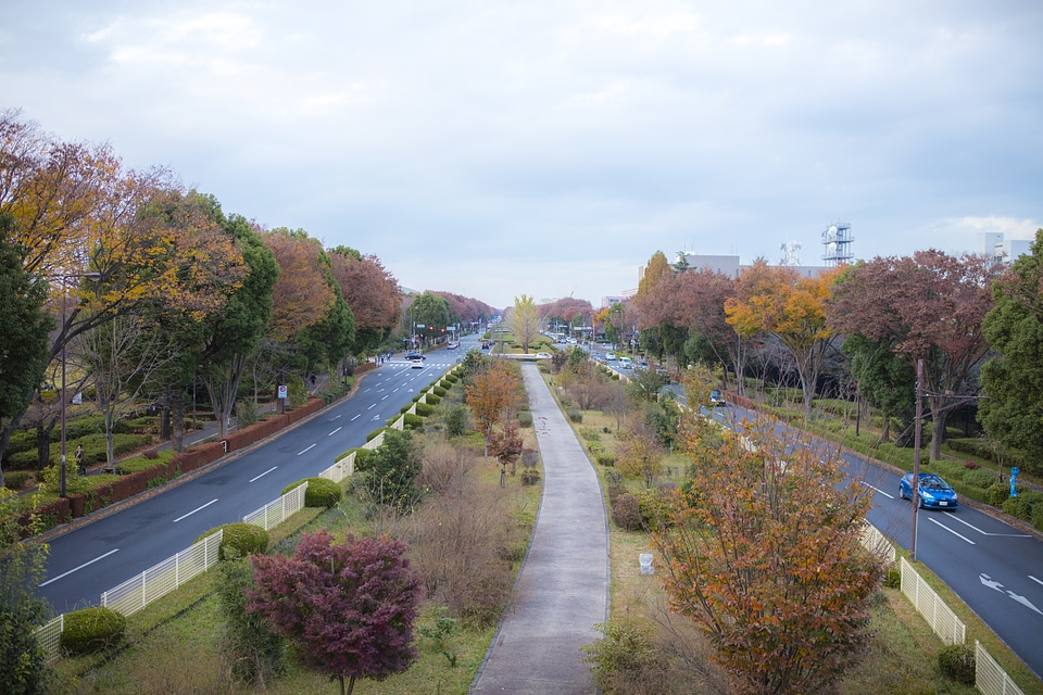 5 Showa Memorial Park