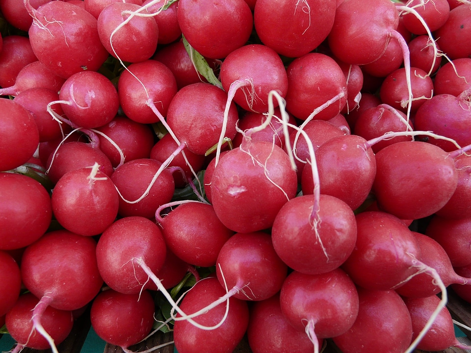 Red vitamins healthy