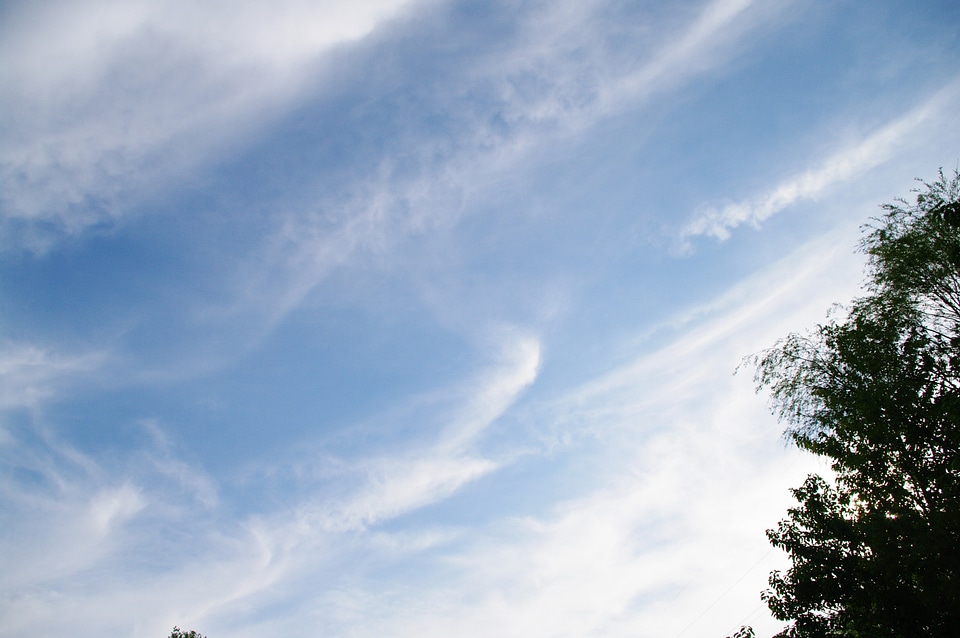16 Sky