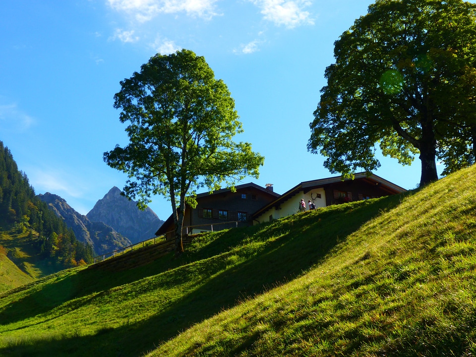 Mountains trees nature
