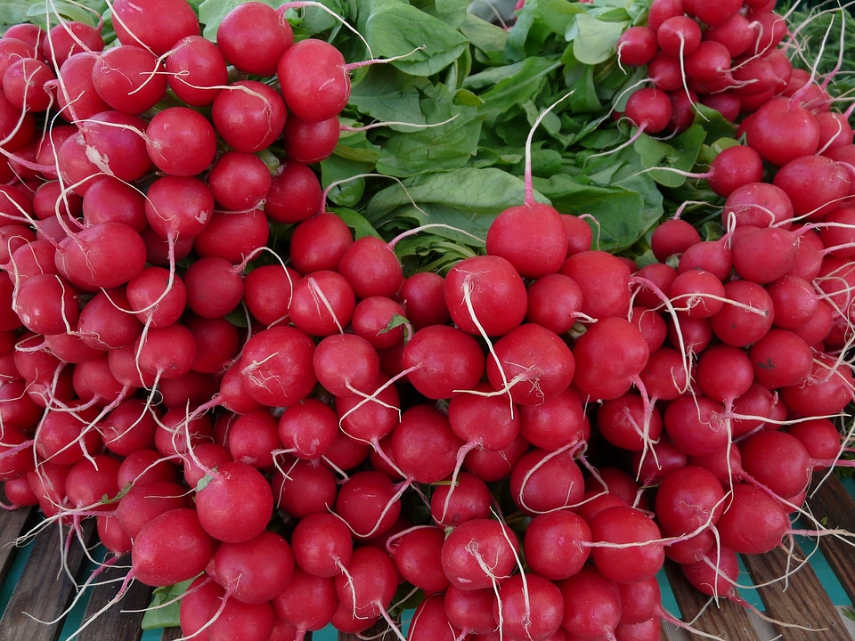 Red vitamins healthy
