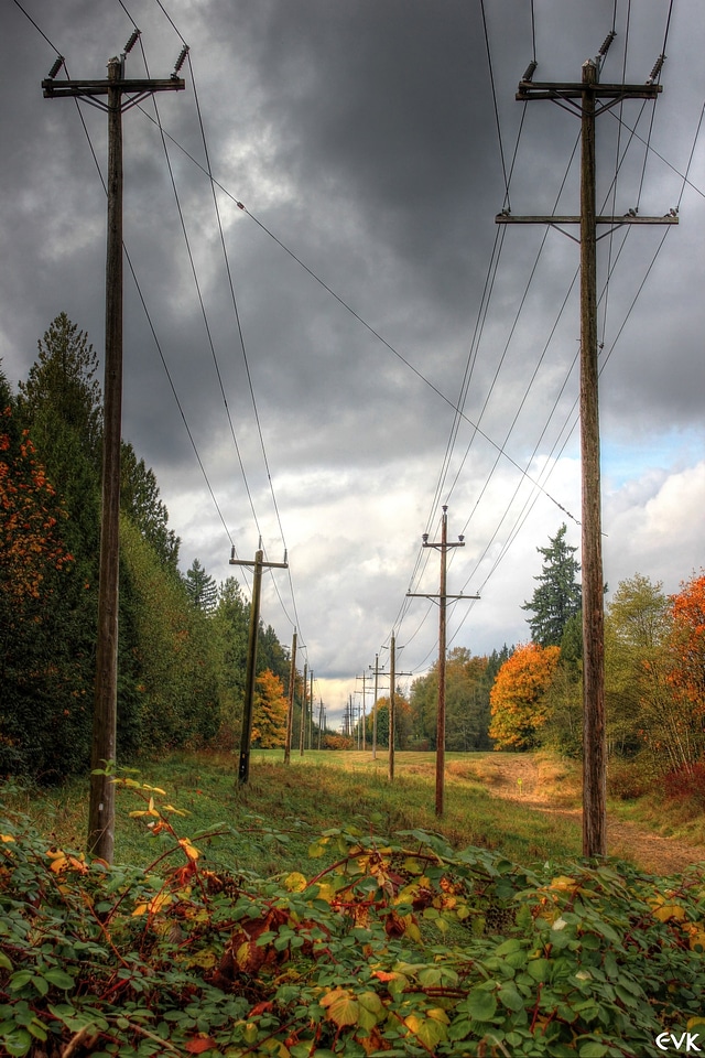 Landscape power electricity