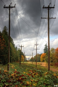 Landscape power electricity