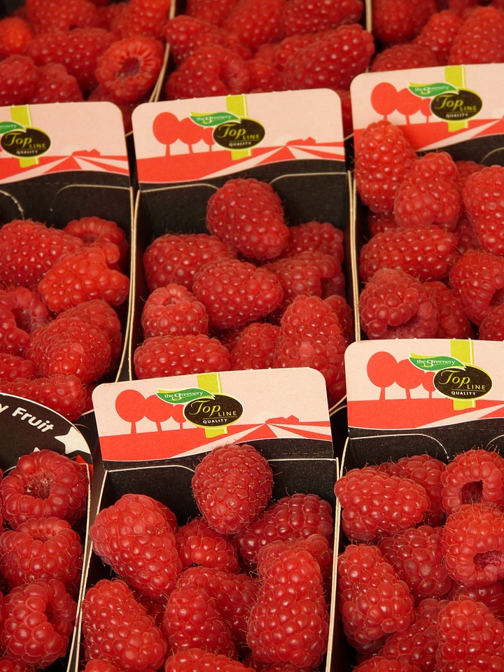 Fruit red delicious