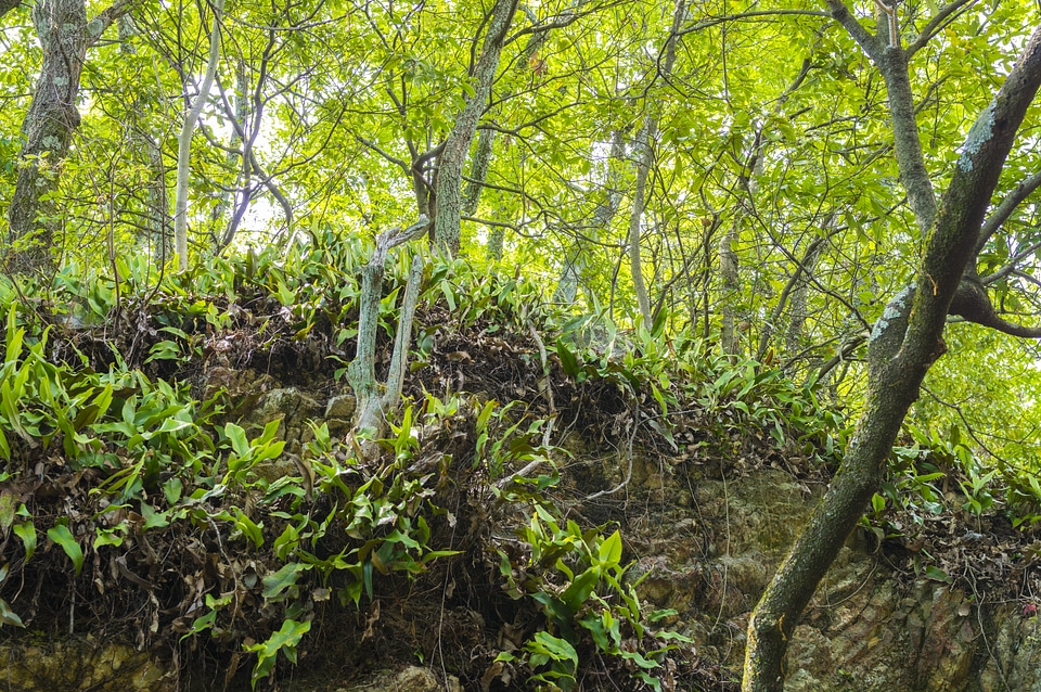 12 Nature