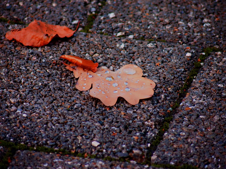 Drip nature drop of water