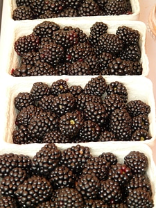 Fruit black delicious