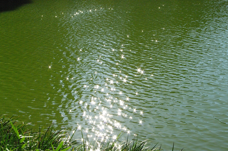 1 The surface of the water