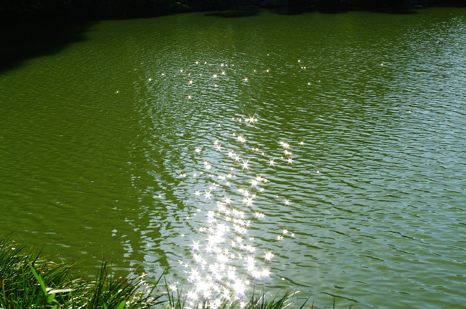 3 The surface of the water