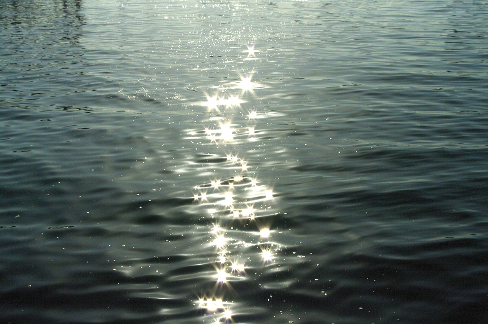 5 The surface of the water