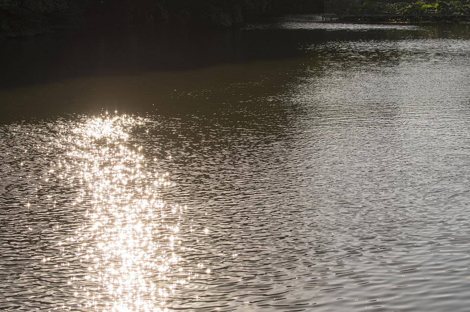 7 Water