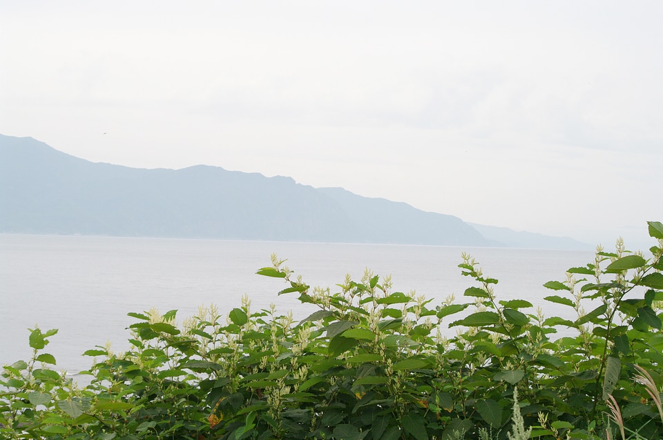 5 Ocean