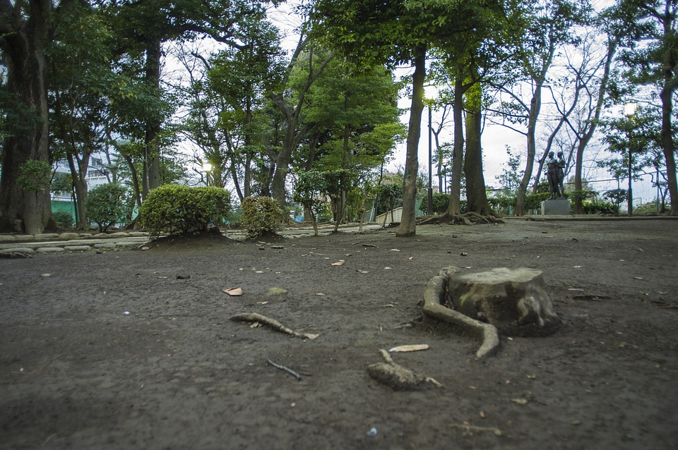 1 NishiNippori Park
