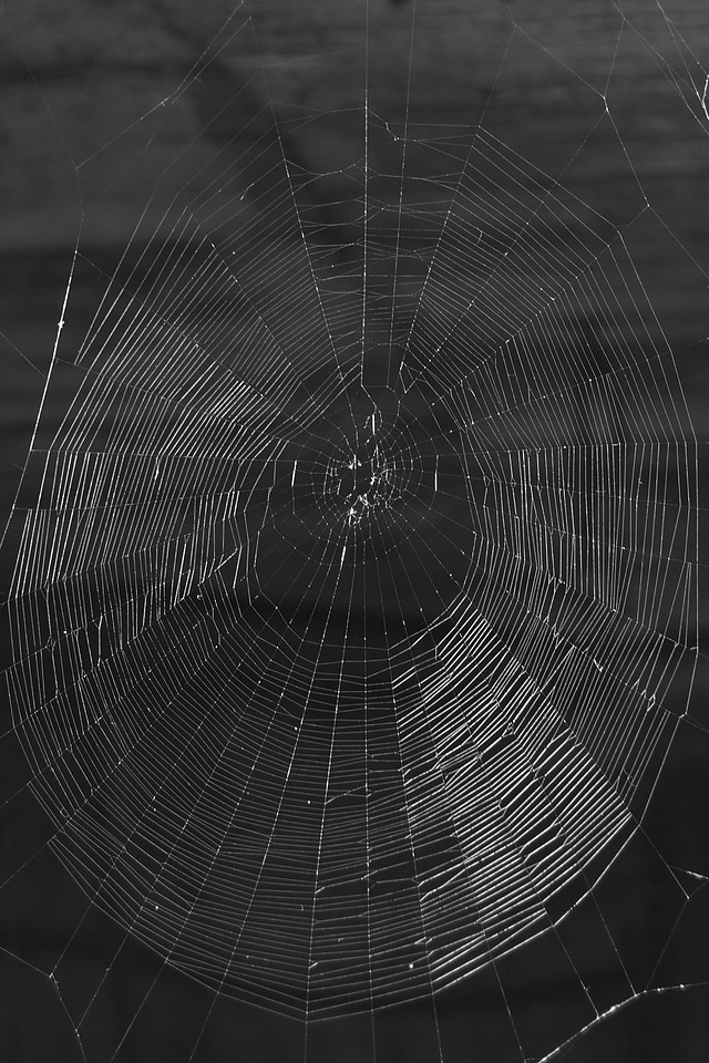 Nature black white