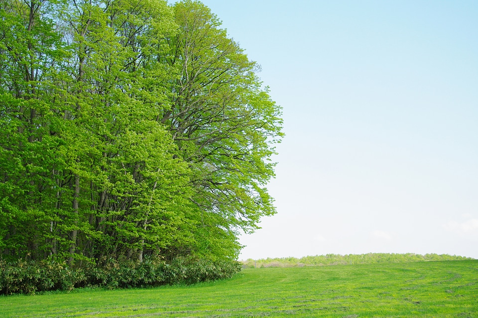 14 Hitsujigaoka Observation Hill