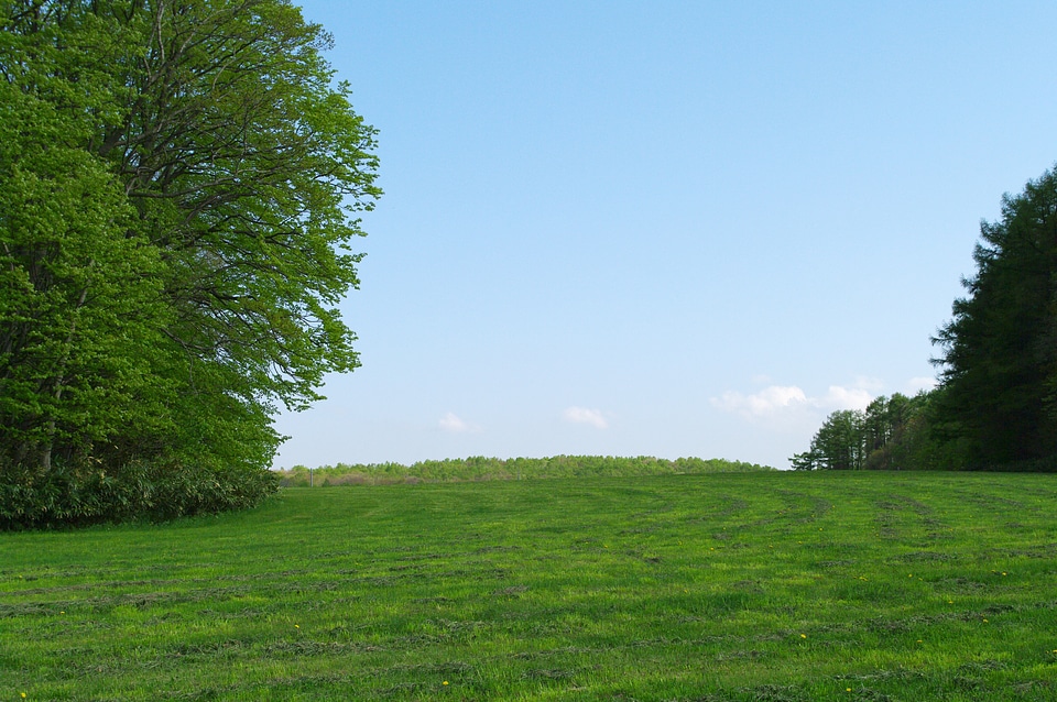 13 Hitsujigaoka Observation Hill