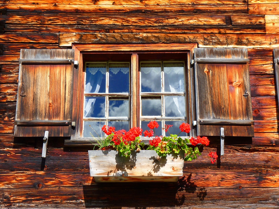Old geranium floral decorations