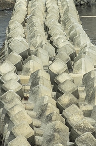 Tetrapod