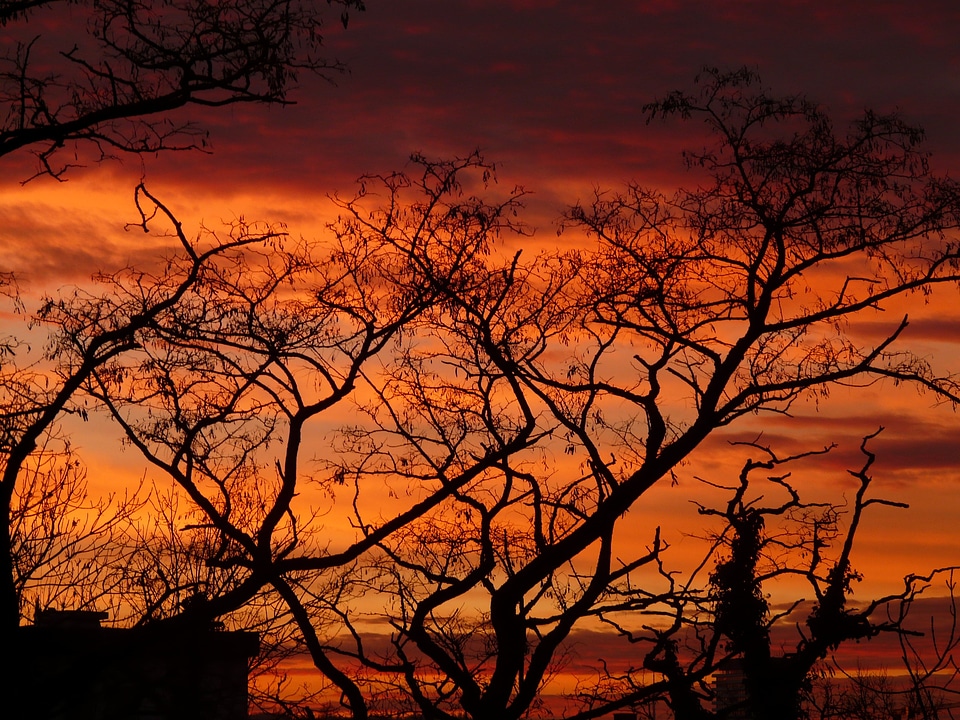 Abendstimmung sun romance