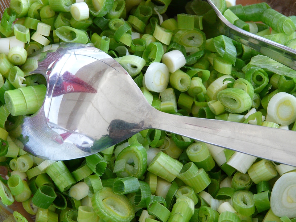 Healthy onion spring onion