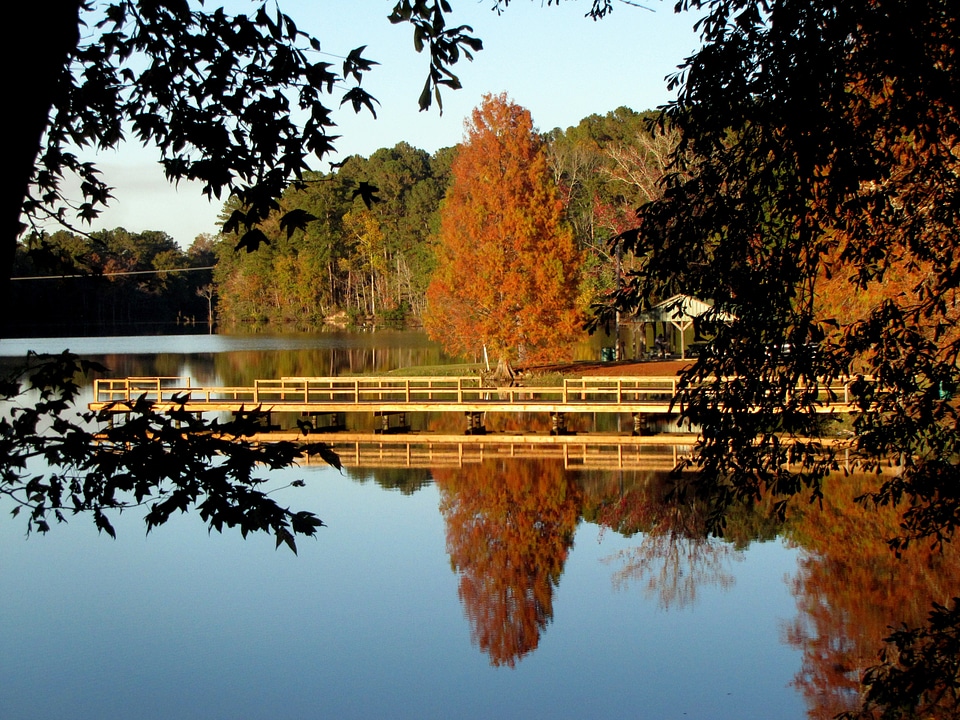 Landscape scenery nature
