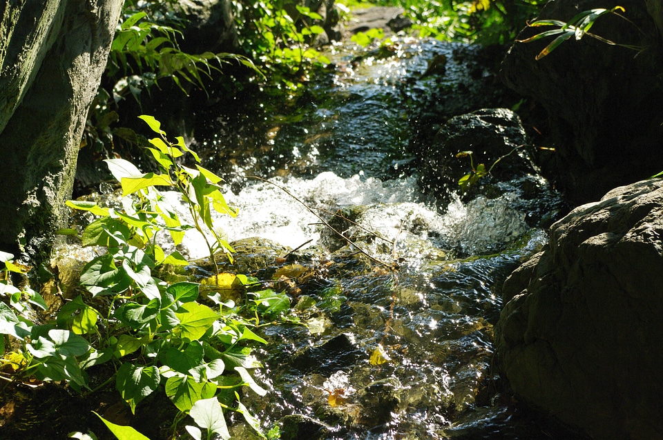 Small stream