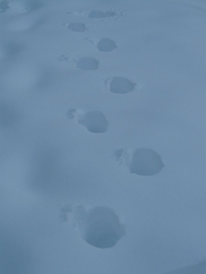 Trudge cold winter