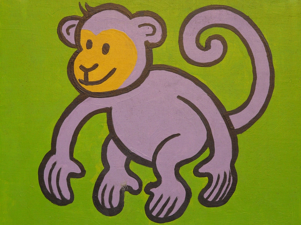 Funny image animal