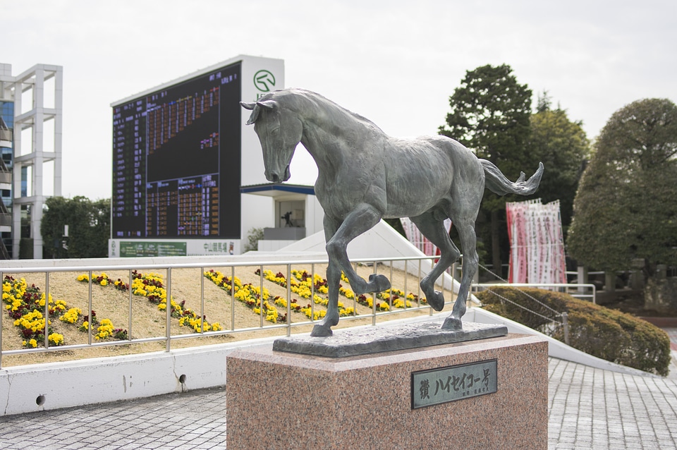 2 Bronze statue of horse