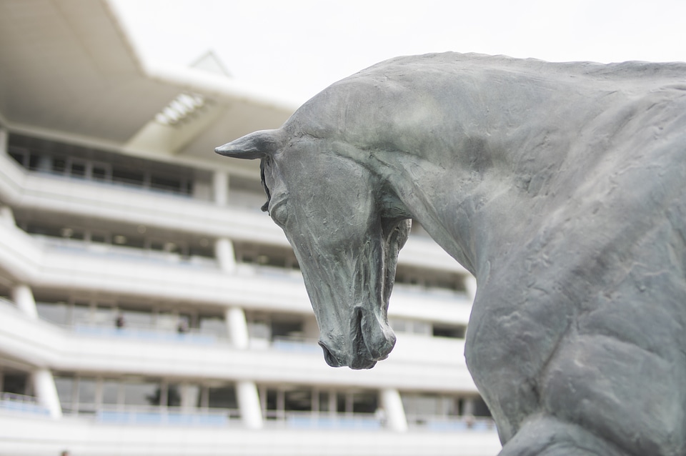 3 Bronze statue of horse