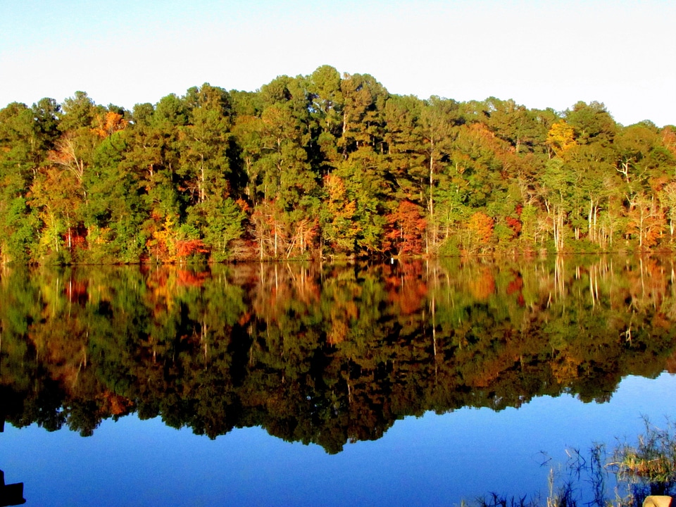 Landscape scenery nature