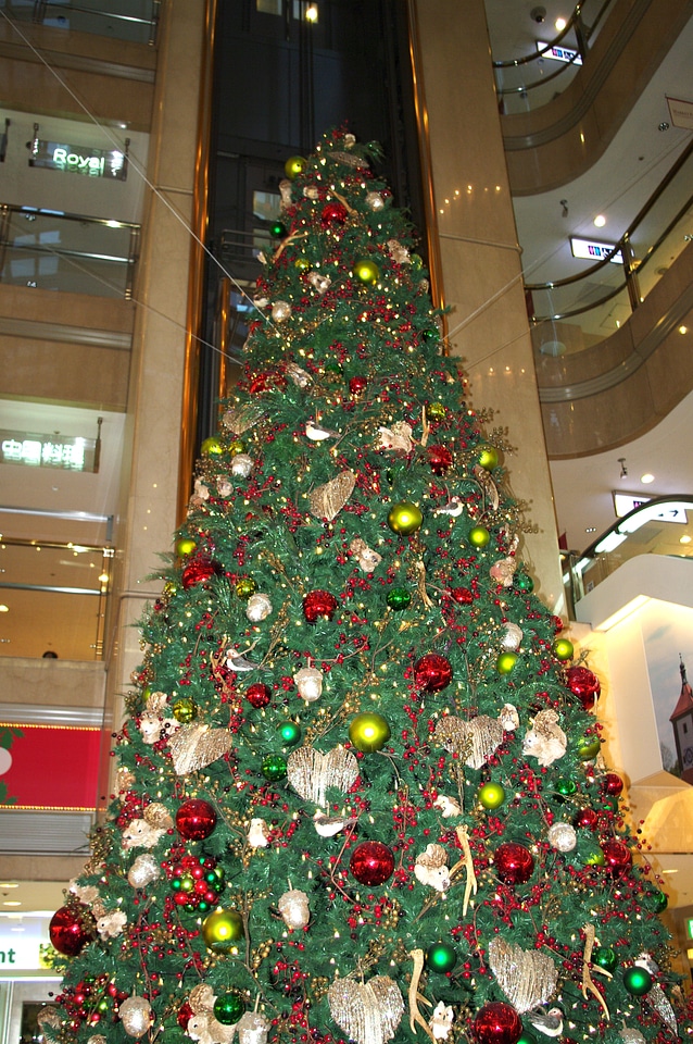 3 Christmas tree