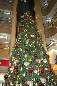 3 Christmas tree