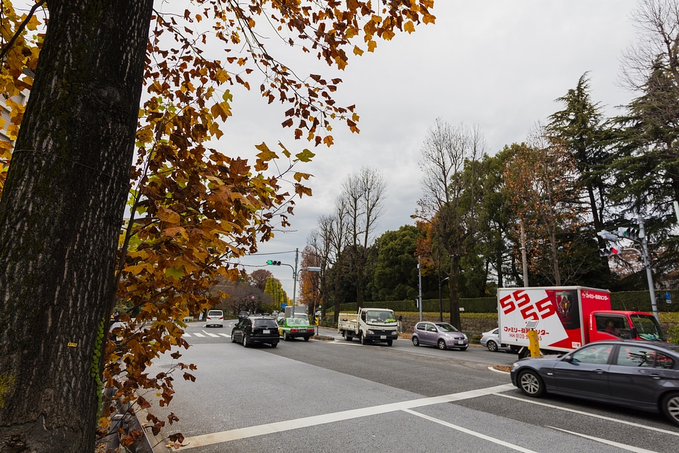 3 Gaien Higashi Dori