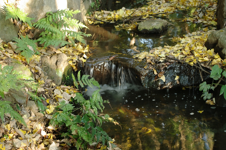 1 Waterfalla cascade