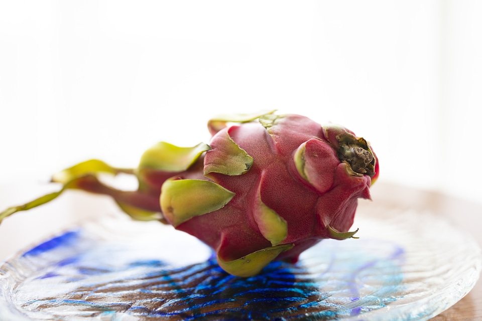 2 Dragon fruit photo