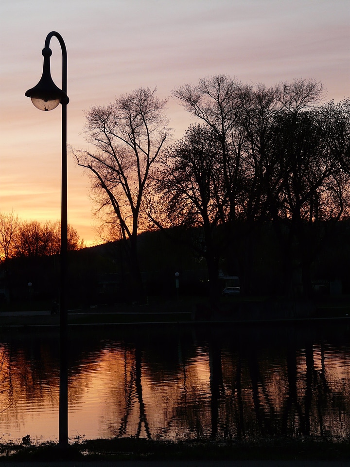 Trees water sunset