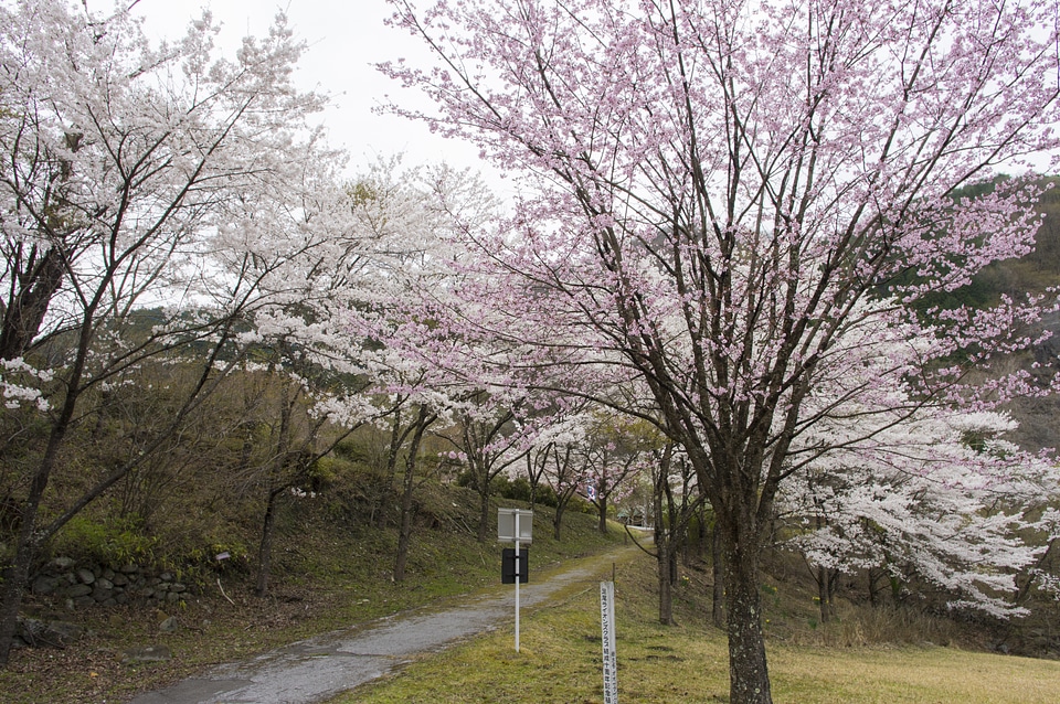 2 Watarase Park