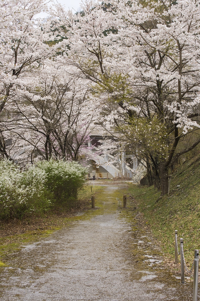 4 Watarase Park