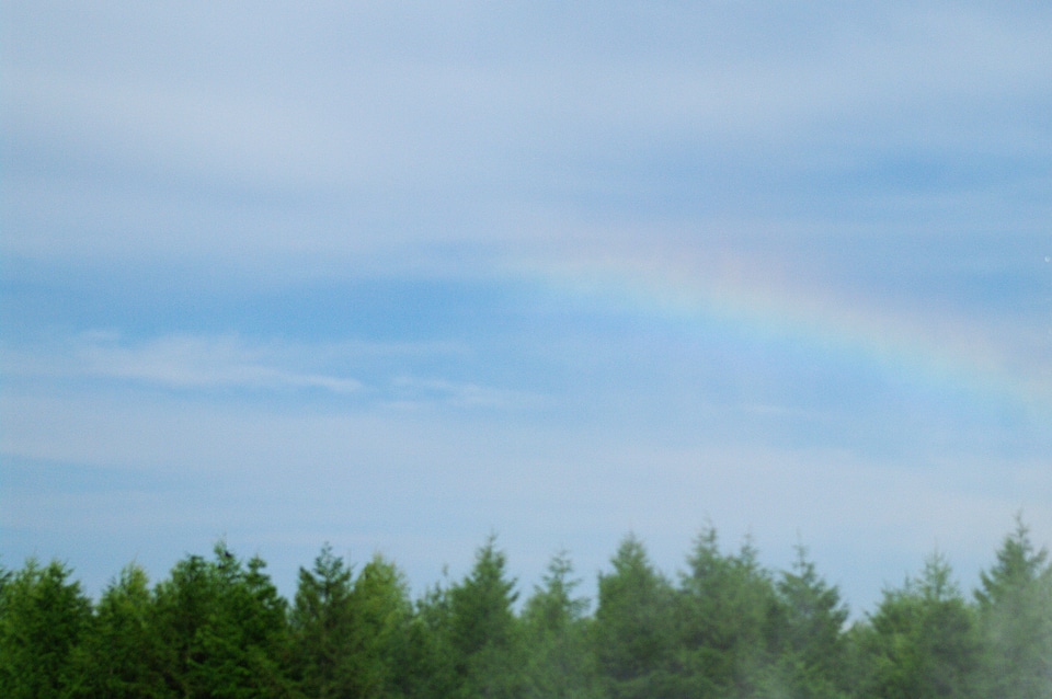 Rainbow