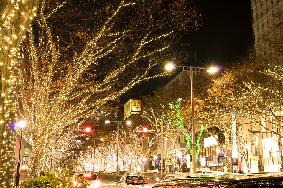 2 Night view in Tokyo Omotesando