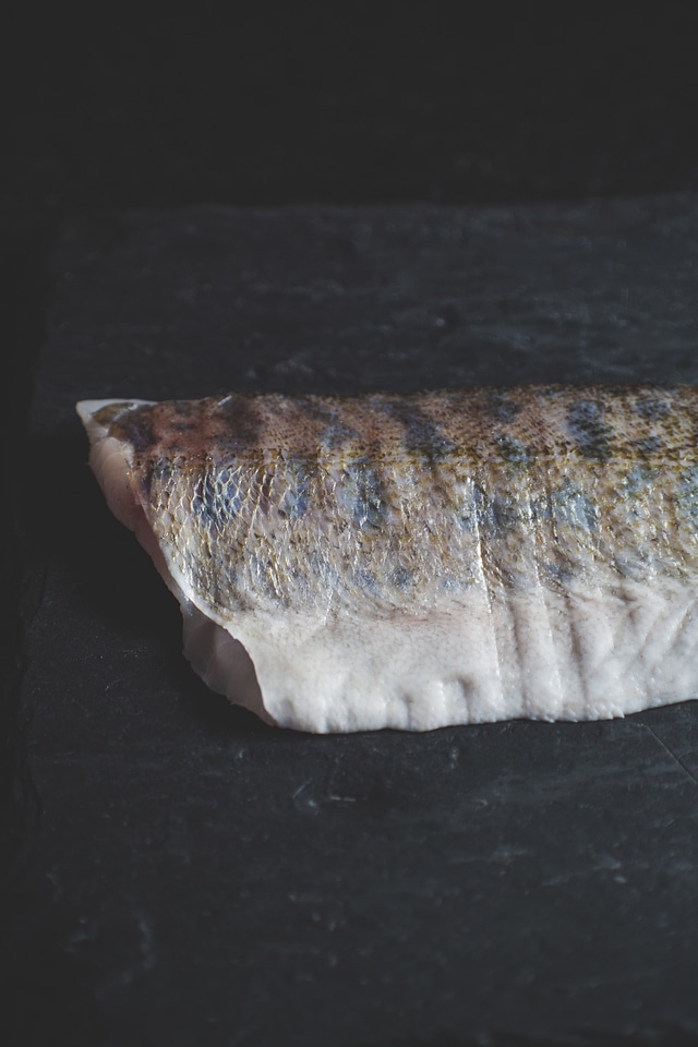 Fresh Salmon Coalfish