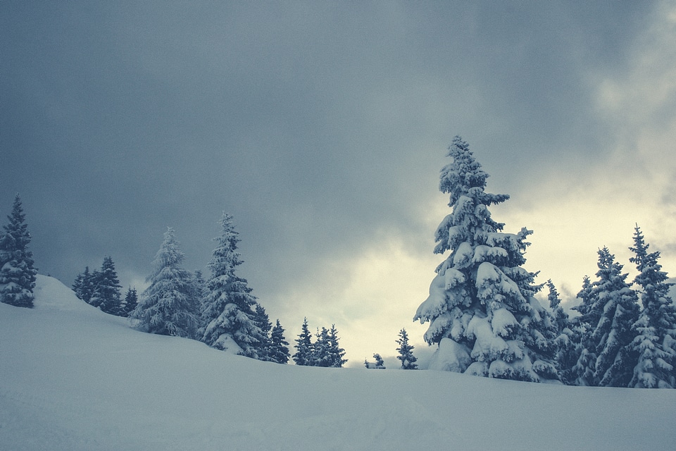 Fairy Tale Winter Spirit